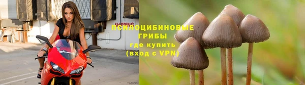 COCAINE Аркадак