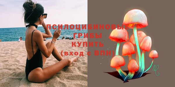 apvp Арсеньев