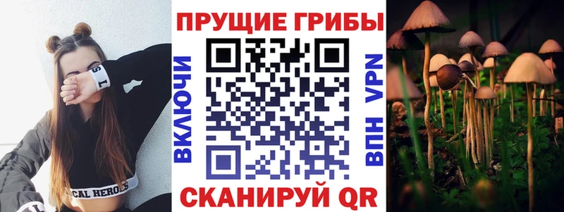 Псилоцибиновые грибы мицелий  Орлов 